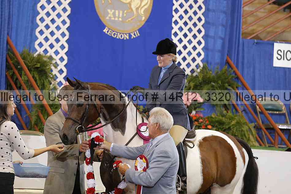 Proof Number 14r12_3320