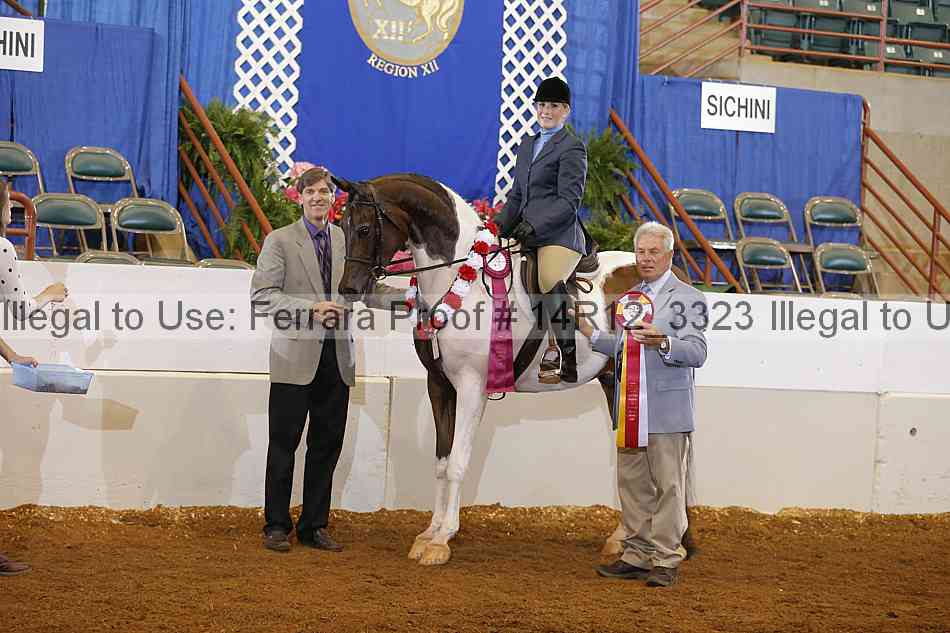 Proof Number 14r12_3323