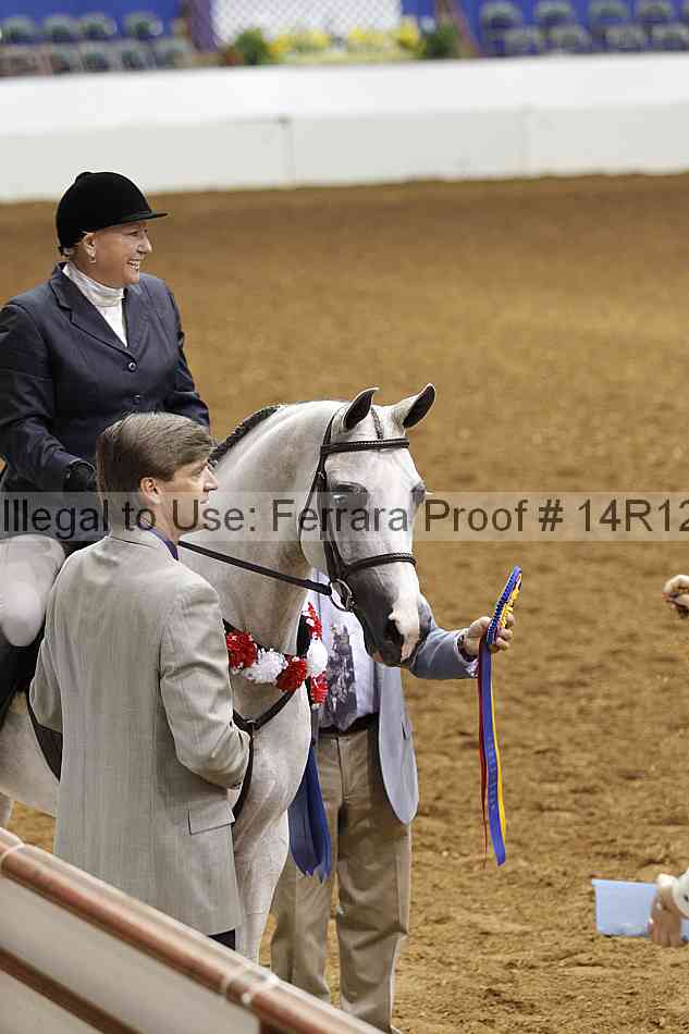 Proof Number 14r12_3333