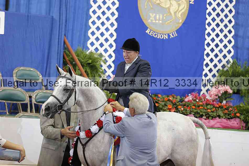 Proof Number 14r12_3334