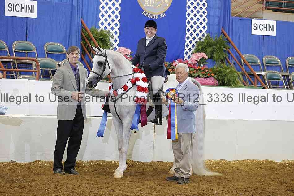 Proof Number 14r12_3336