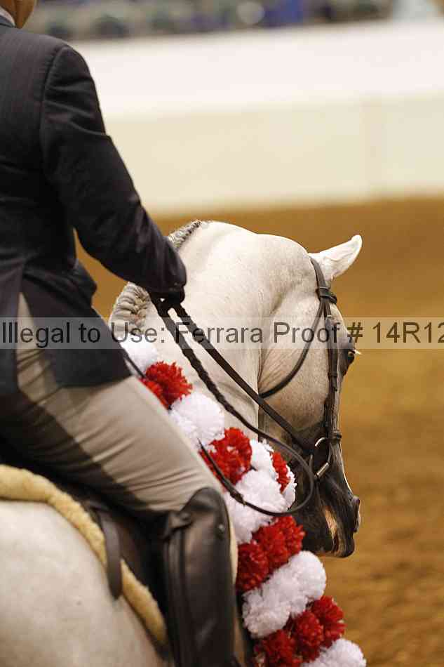 Proof Number 14r12_3338