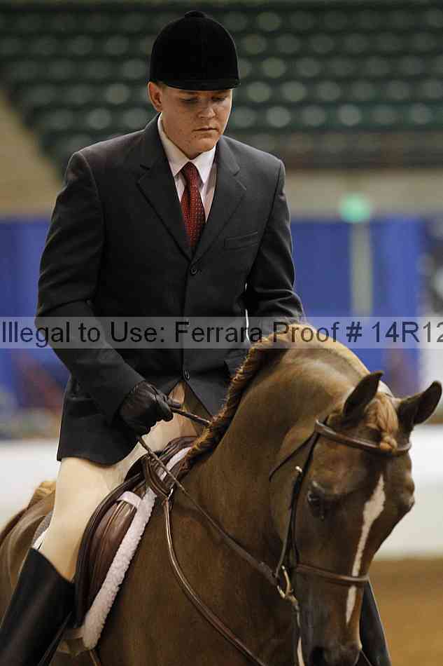 Proof Number 14r12_3341
