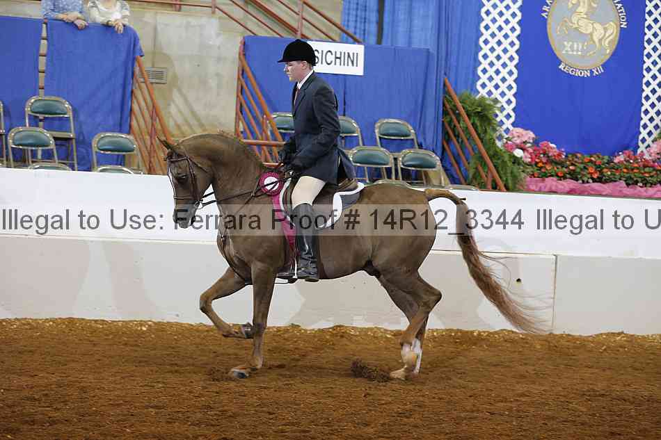 Proof Number 14r12_3344