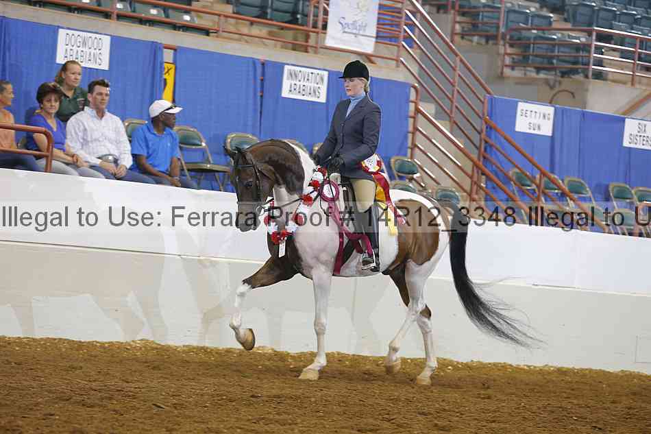 Proof Number 14r12_3348