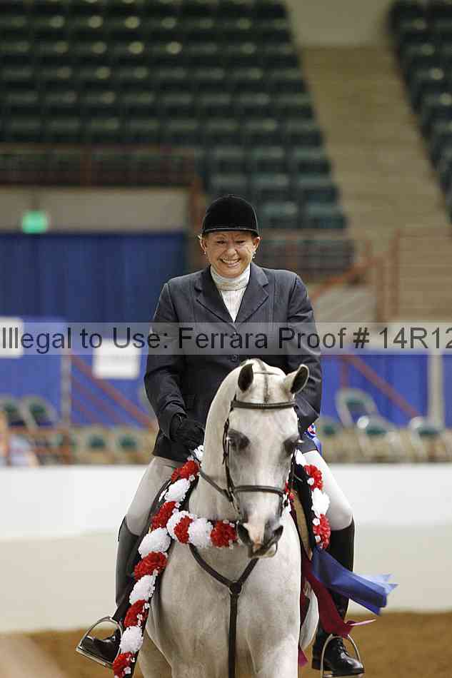 Proof Number 14r12_3351