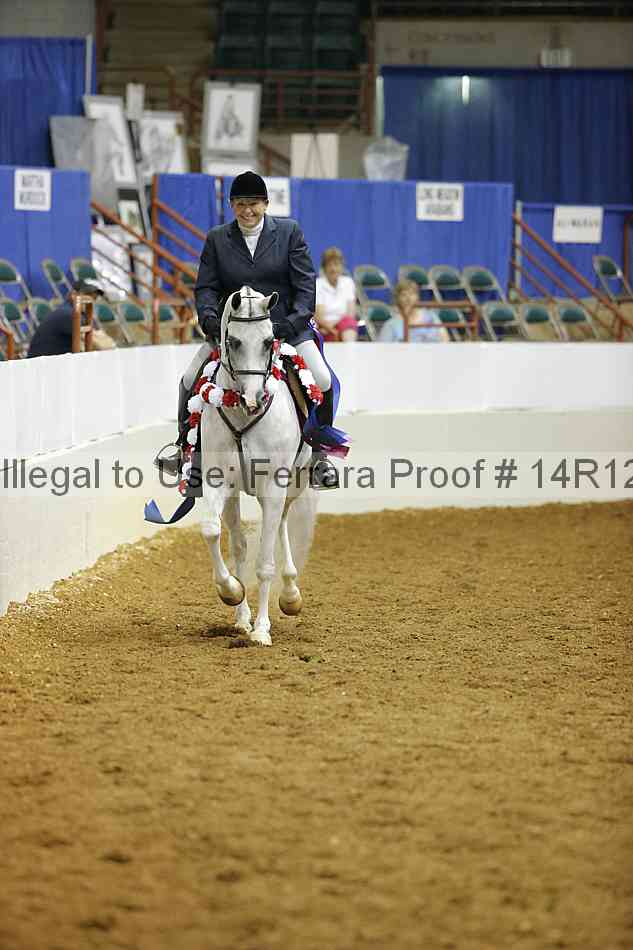 Proof Number 14r12_3356