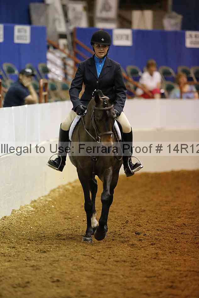 Proof Number 14r12_3371