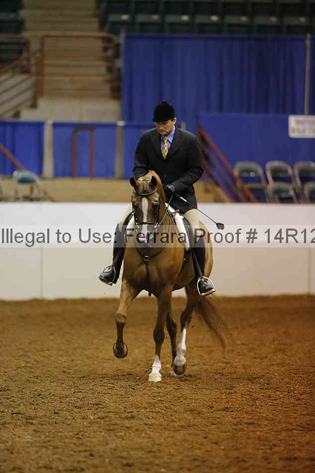 Proof Number 14r12_3375