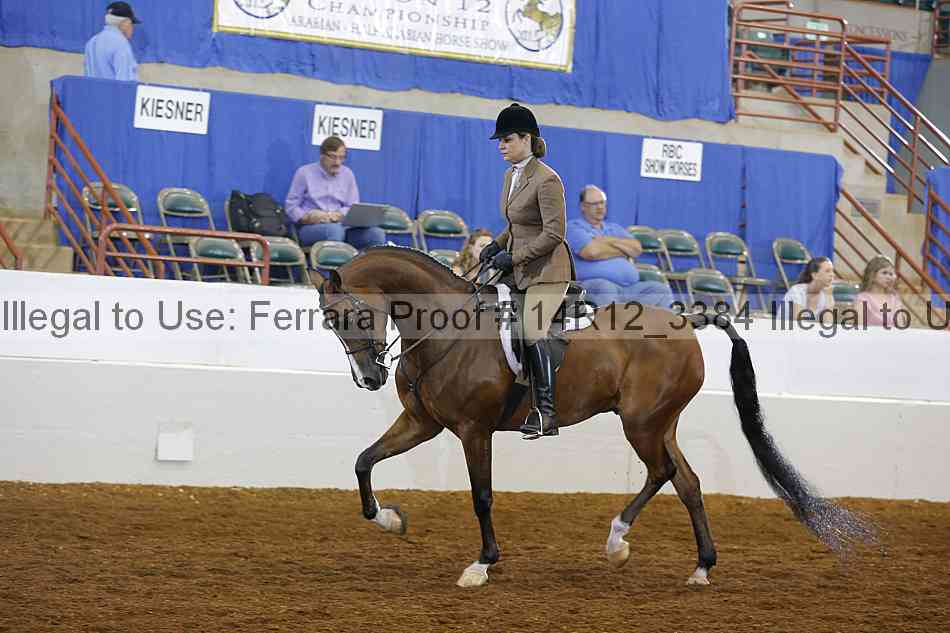 Proof Number 14r12_3384