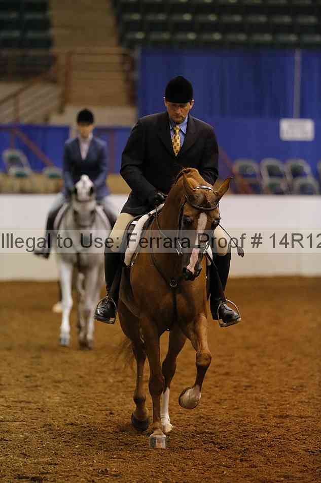 Proof Number 14r12_3390