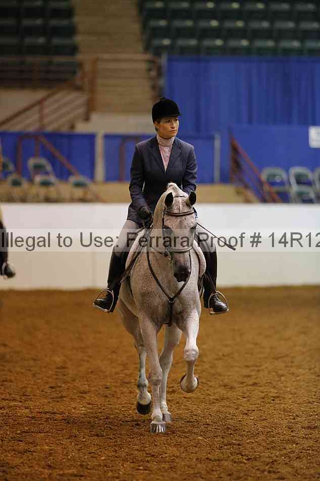 Proof Number 14r12_3391
