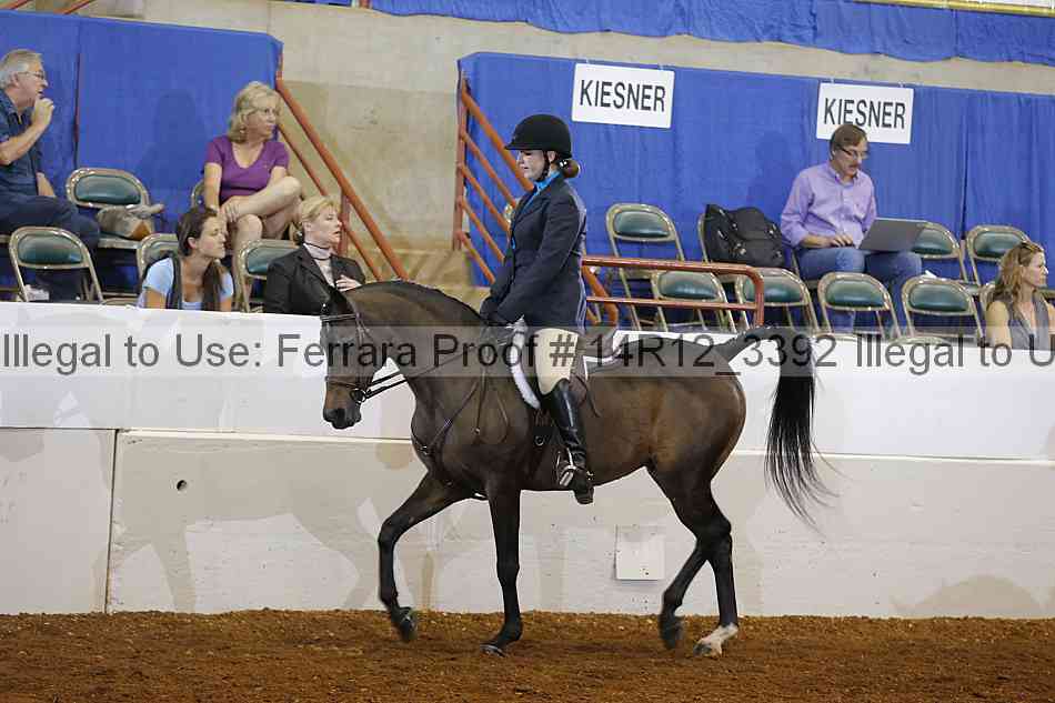 Proof Number 14r12_3392