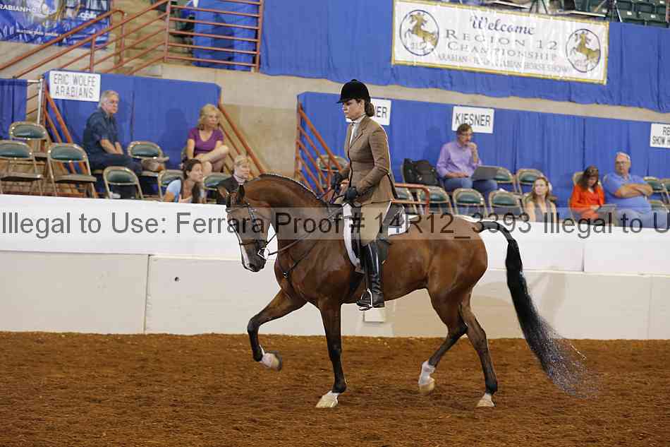 Proof Number 14r12_3393