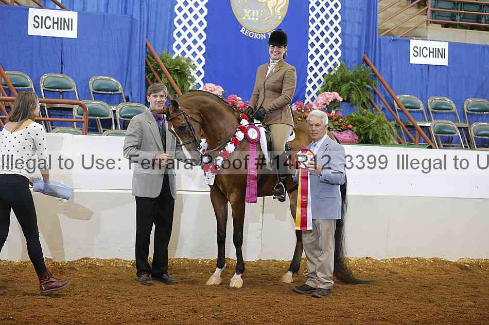 Proof Number 14r12_3399