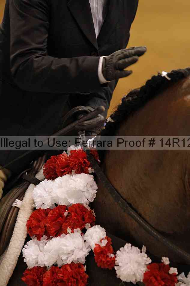Proof Number 14r12_3405