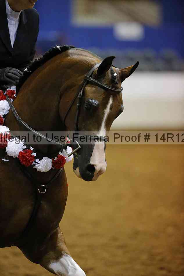 Proof Number 14r12_3407