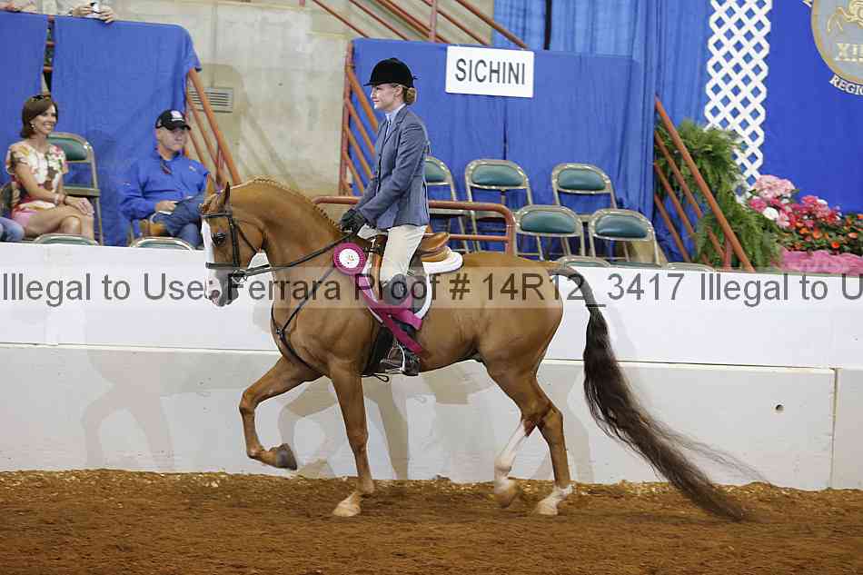 Proof Number 14r12_3417