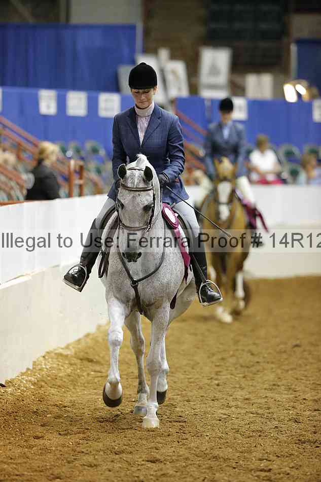 Proof Number 14r12_3419