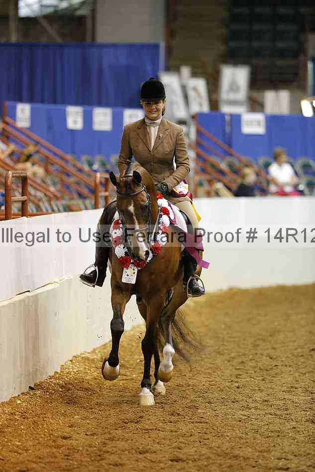 Proof Number 14r12_3423