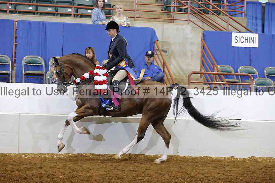 Proof Number 14r12_3425