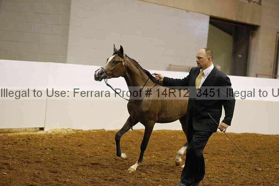 Proof Number 14r12_3451