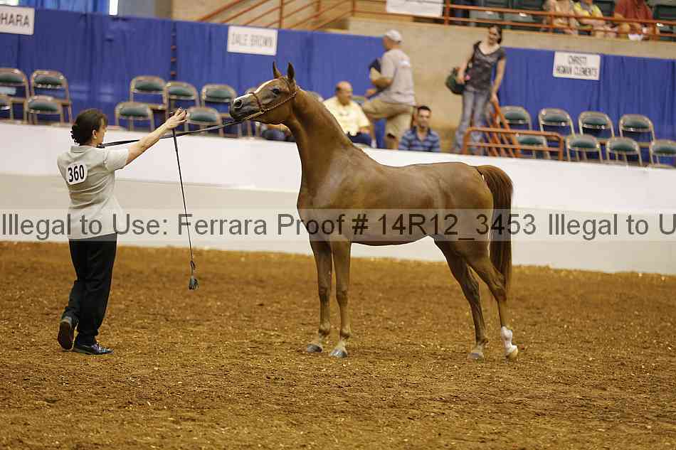 Proof Number 14r12_3453
