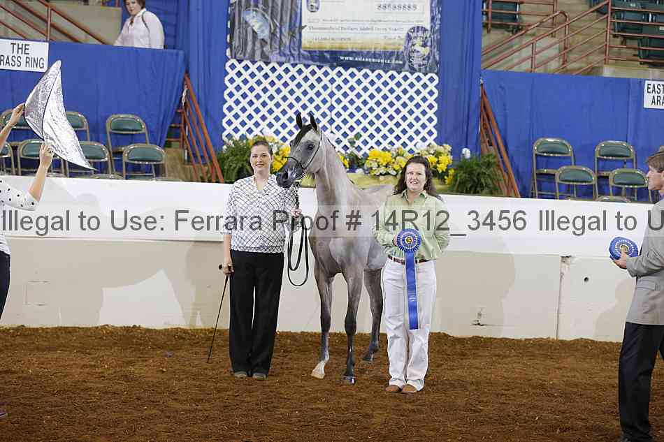 Proof Number 14r12_3456