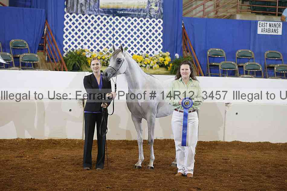 Proof Number 14r12_3457