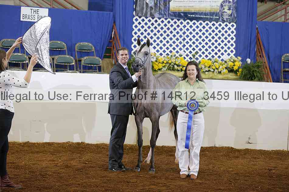 Proof Number 14r12_3459