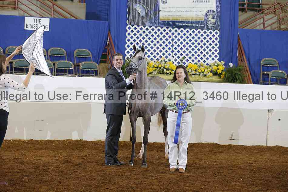 Proof Number 14r12_3460