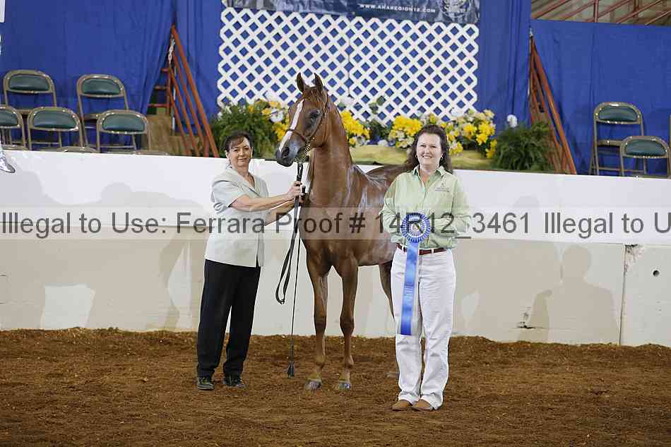 Proof Number 14r12_3461