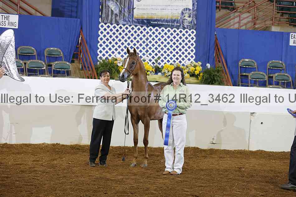 Proof Number 14r12_3462
