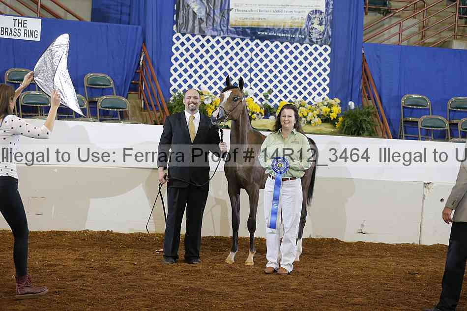 Proof Number 14r12_3464
