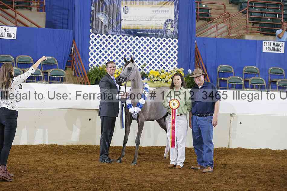 Proof Number 14r12_3465