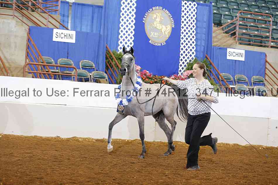 Proof Number 14r12_3471