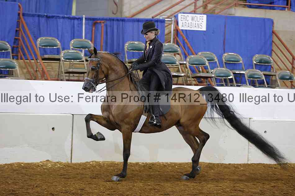 Proof Number 14r12_3480