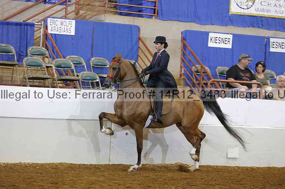 Proof Number 14r12_3483