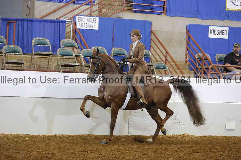 Proof Number 14r12_3484