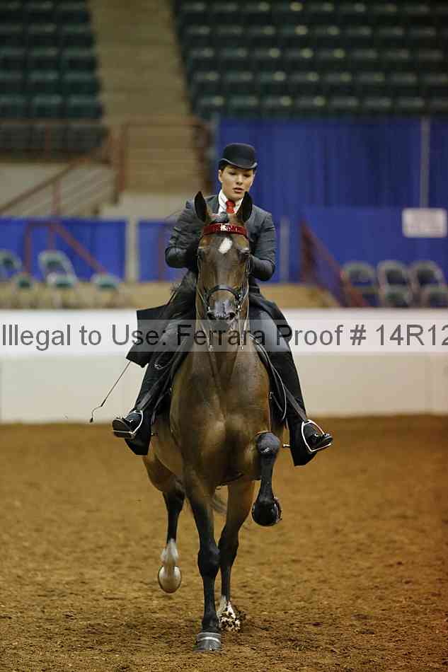 Proof Number 14r12_3486