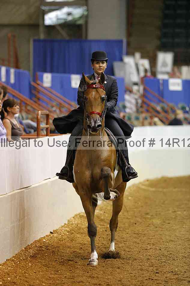 Proof Number 14r12_3488