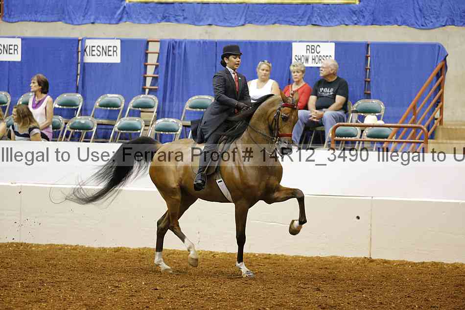 Proof Number 14r12_3490