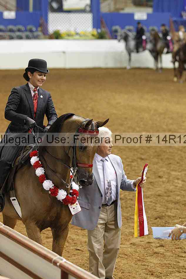 Proof Number 14r12_3497