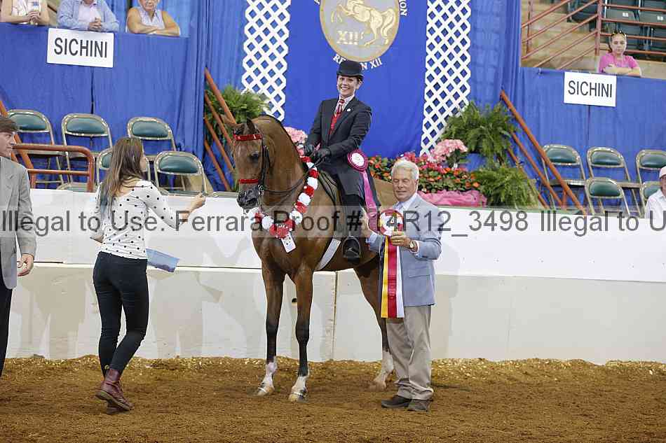 Proof Number 14r12_3498