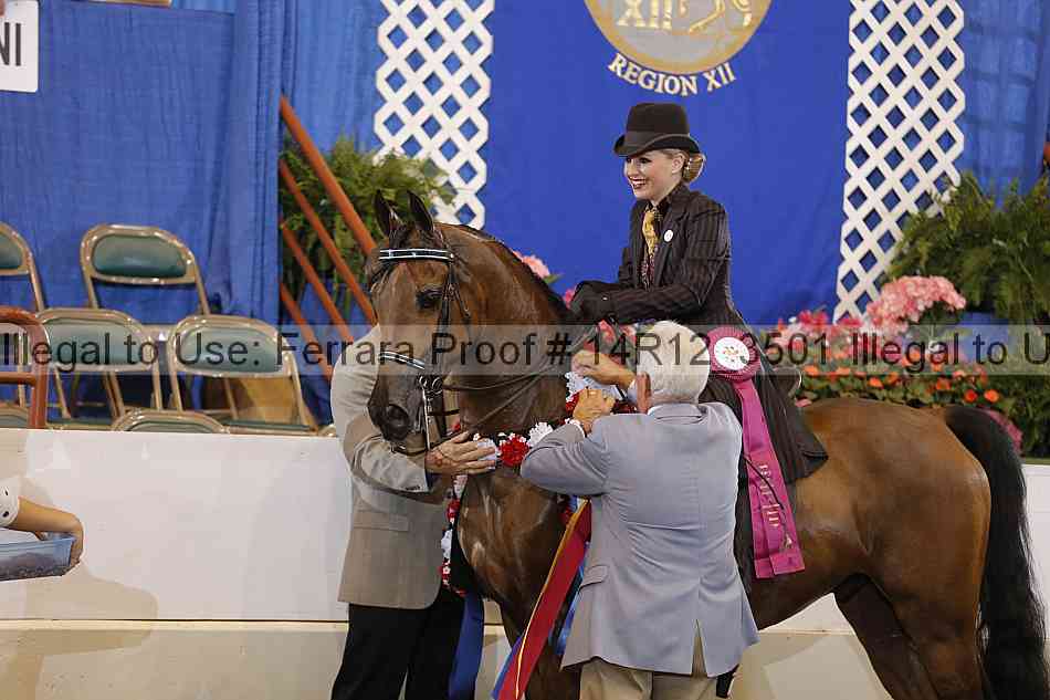 Proof Number 14r12_3501