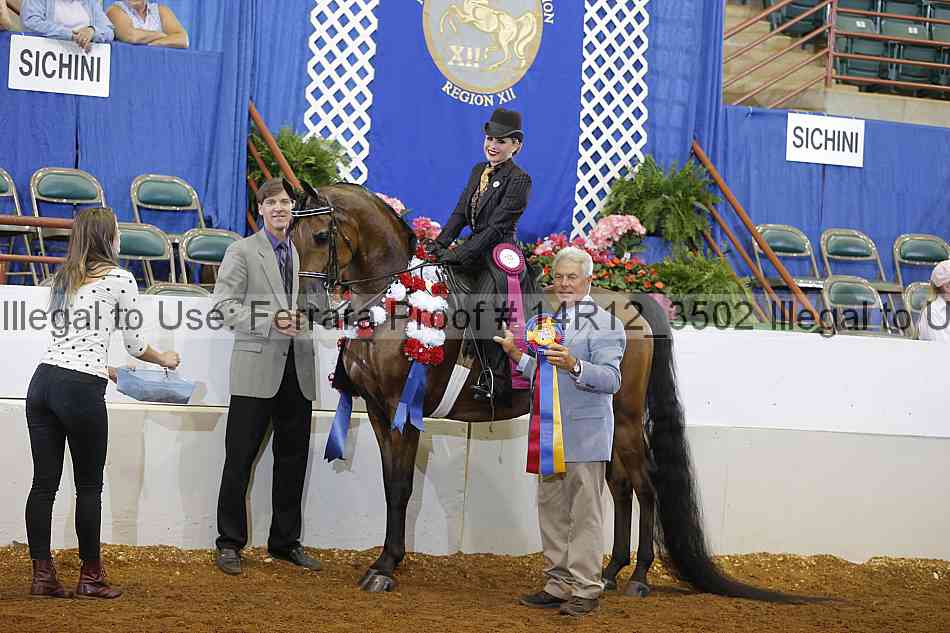 Proof Number 14r12_3502
