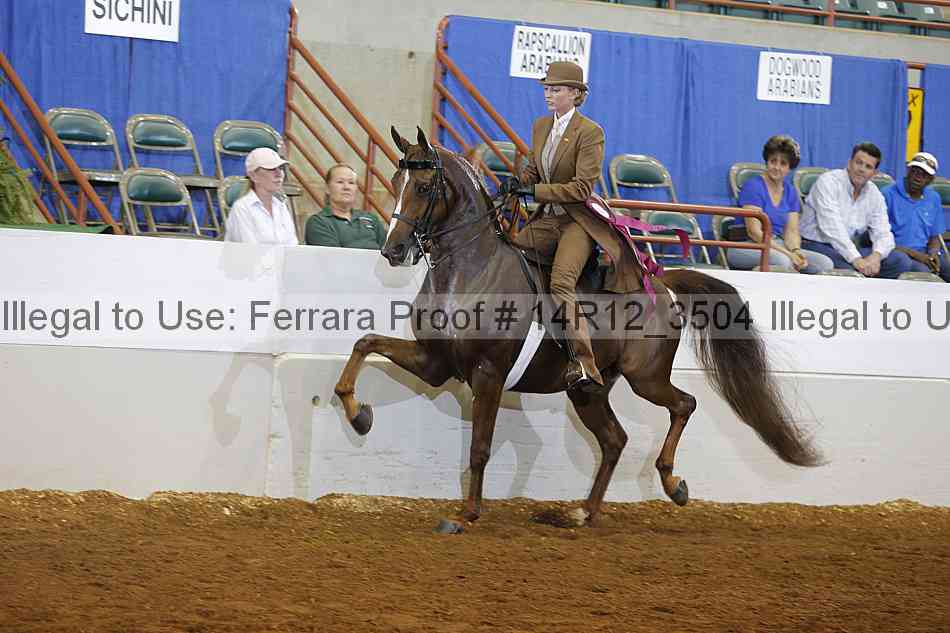 Proof Number 14r12_3504