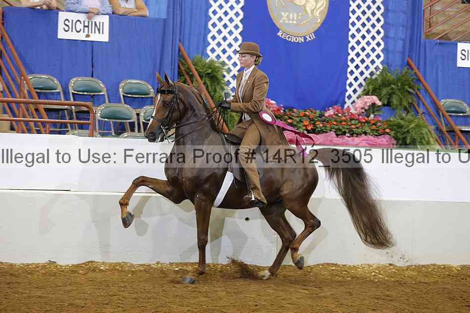 Proof Number 14r12_3505