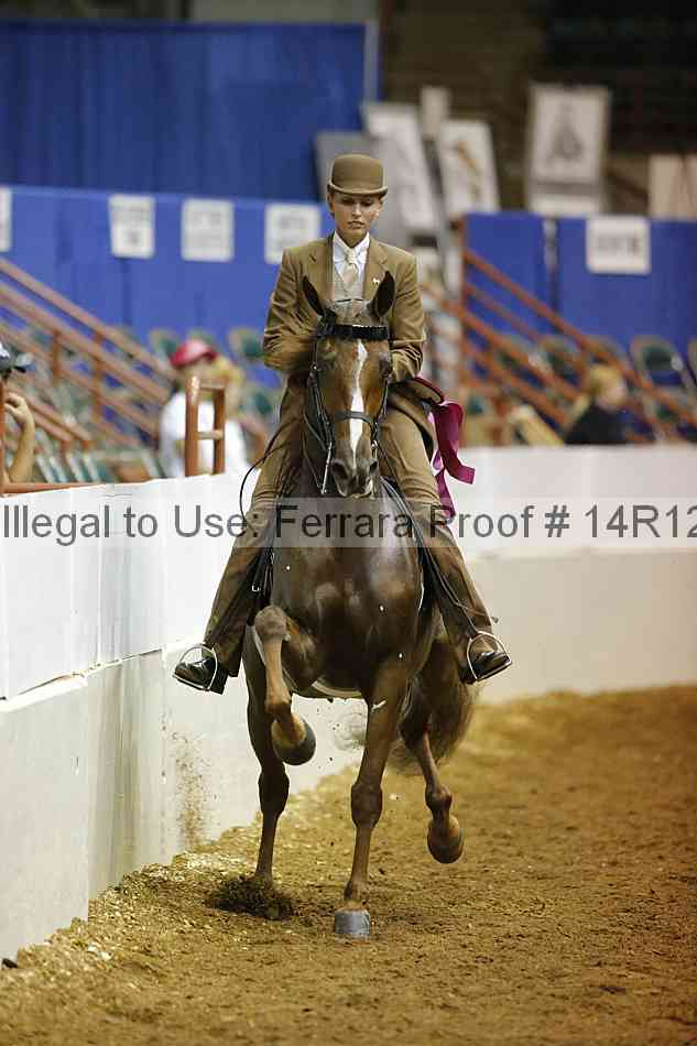 Proof Number 14r12_3506