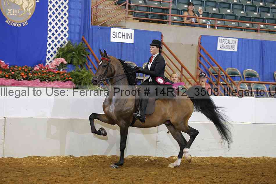 Proof Number 14r12_3508